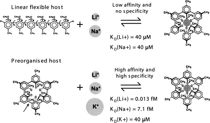 Figure 9.