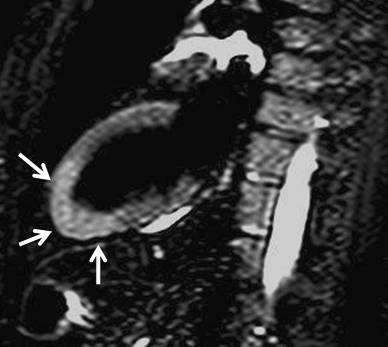 Fig. 7