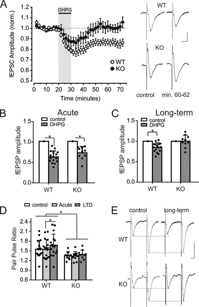 FIGURE 9.