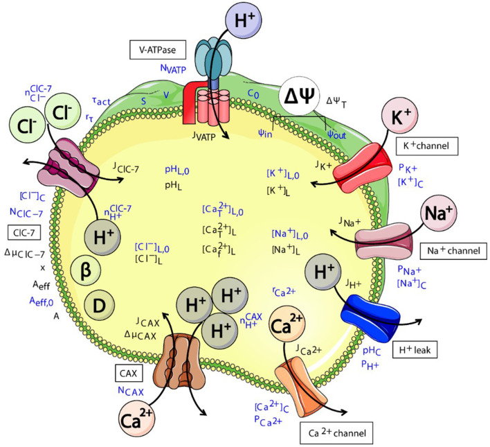 Figure 3