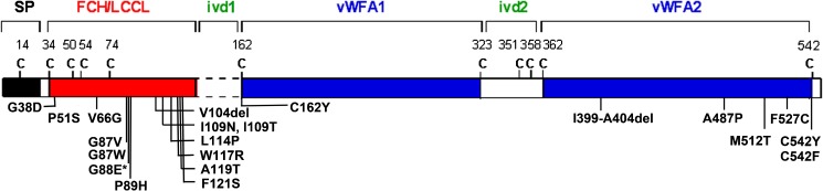 FIG. 1