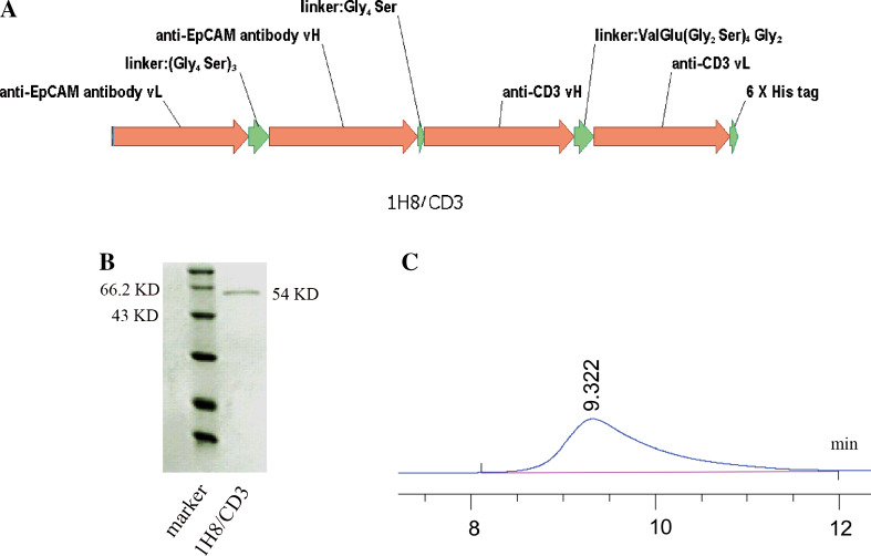 Fig. 2