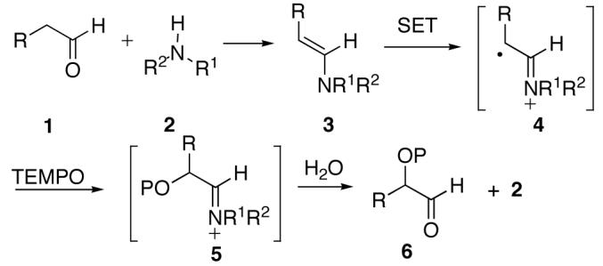 Scheme 1