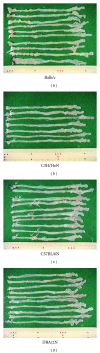 Figure 16