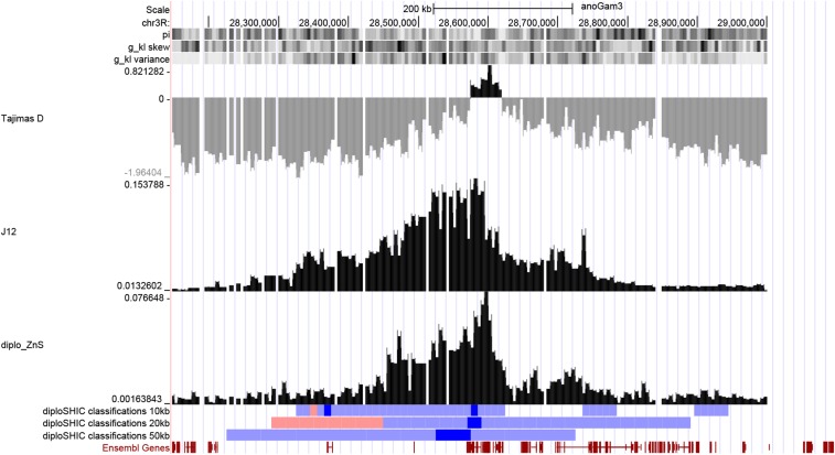 Figure 11