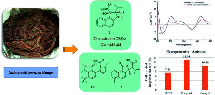 graphic file with name d0ra02022b-ga.jpg