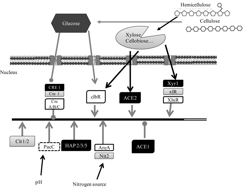 Fig. (1)