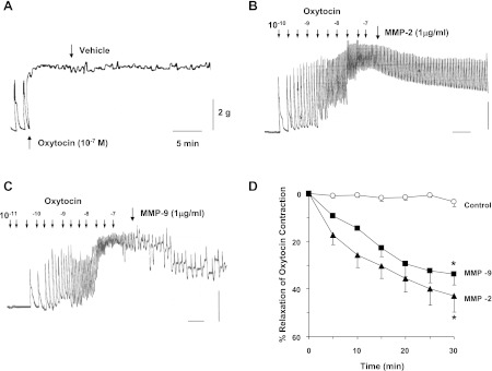 Fig. 12.