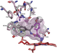 Fig. 6.