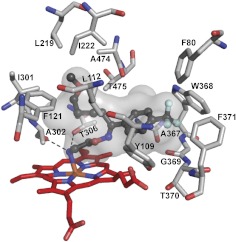 Fig. 4.