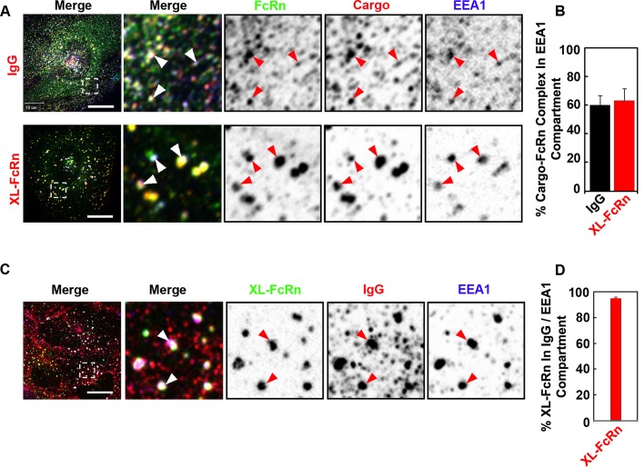 FIGURE 2: