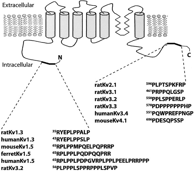 Fig. 11.