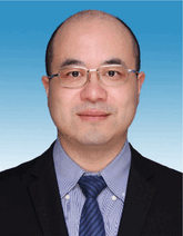 graphic file with name ADVS-11-2407816-g010.gif