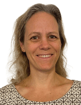 graphic file with name ADVS-11-2407816-g009.gif