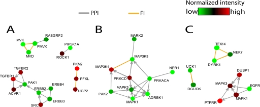 FIGURE 5.