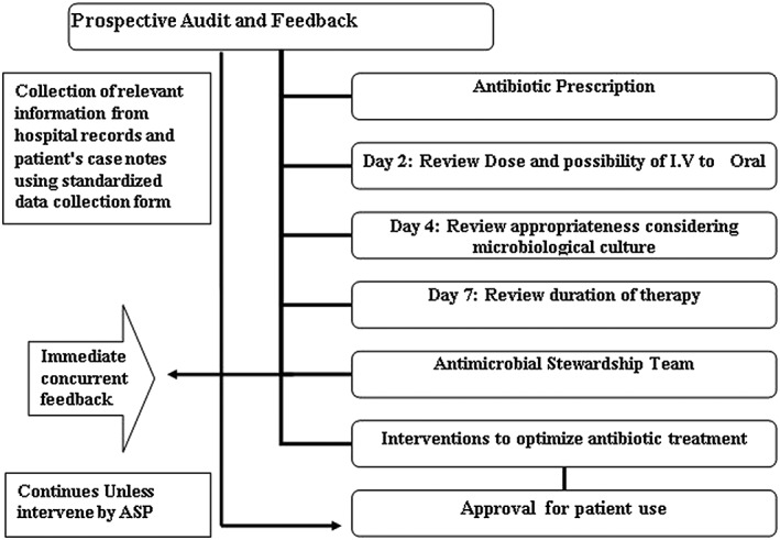 Impact of antimicrobial stewardship programme on hospitalized patients ...