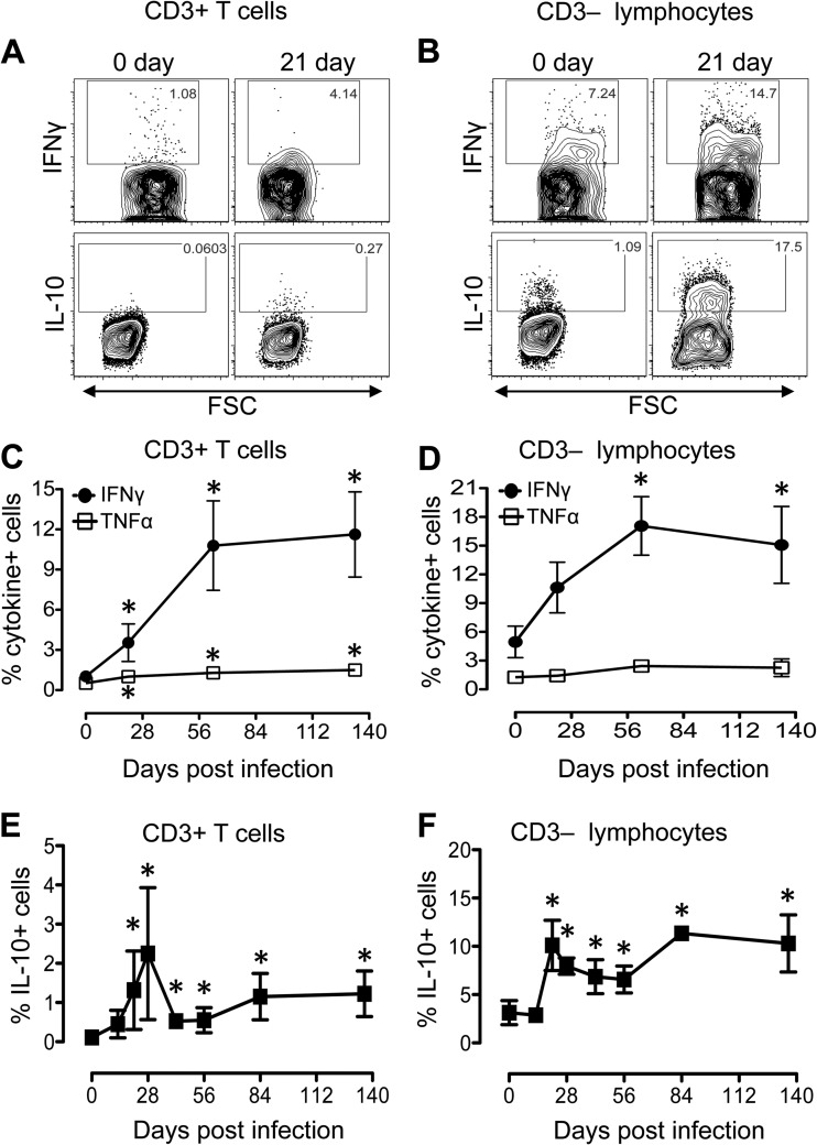 FIG 4