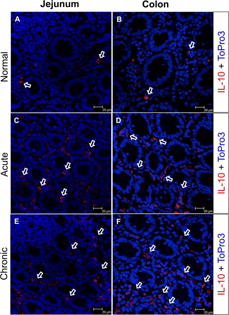 FIG 5