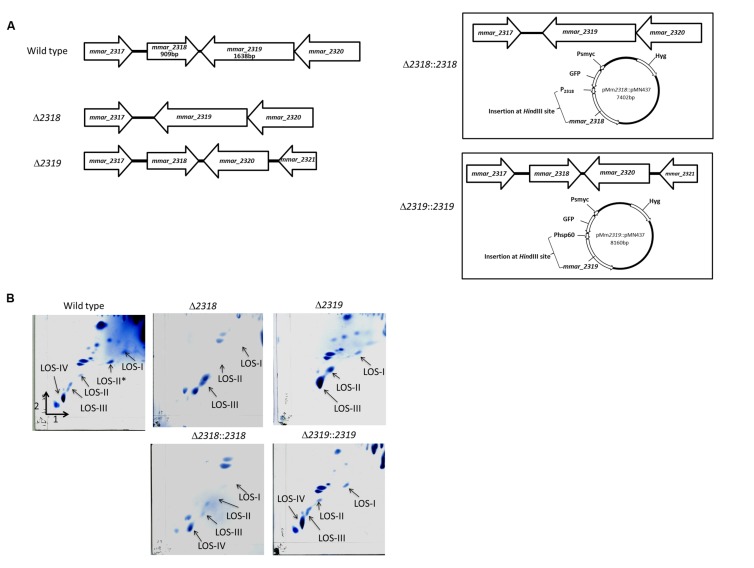 FIGURE 3