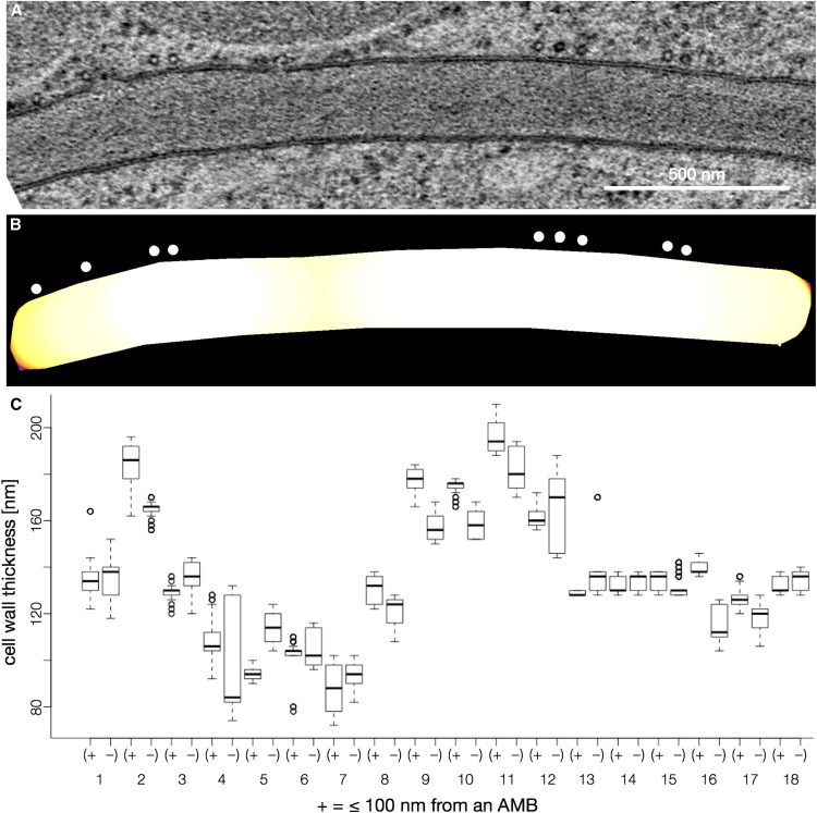 Figure 10.