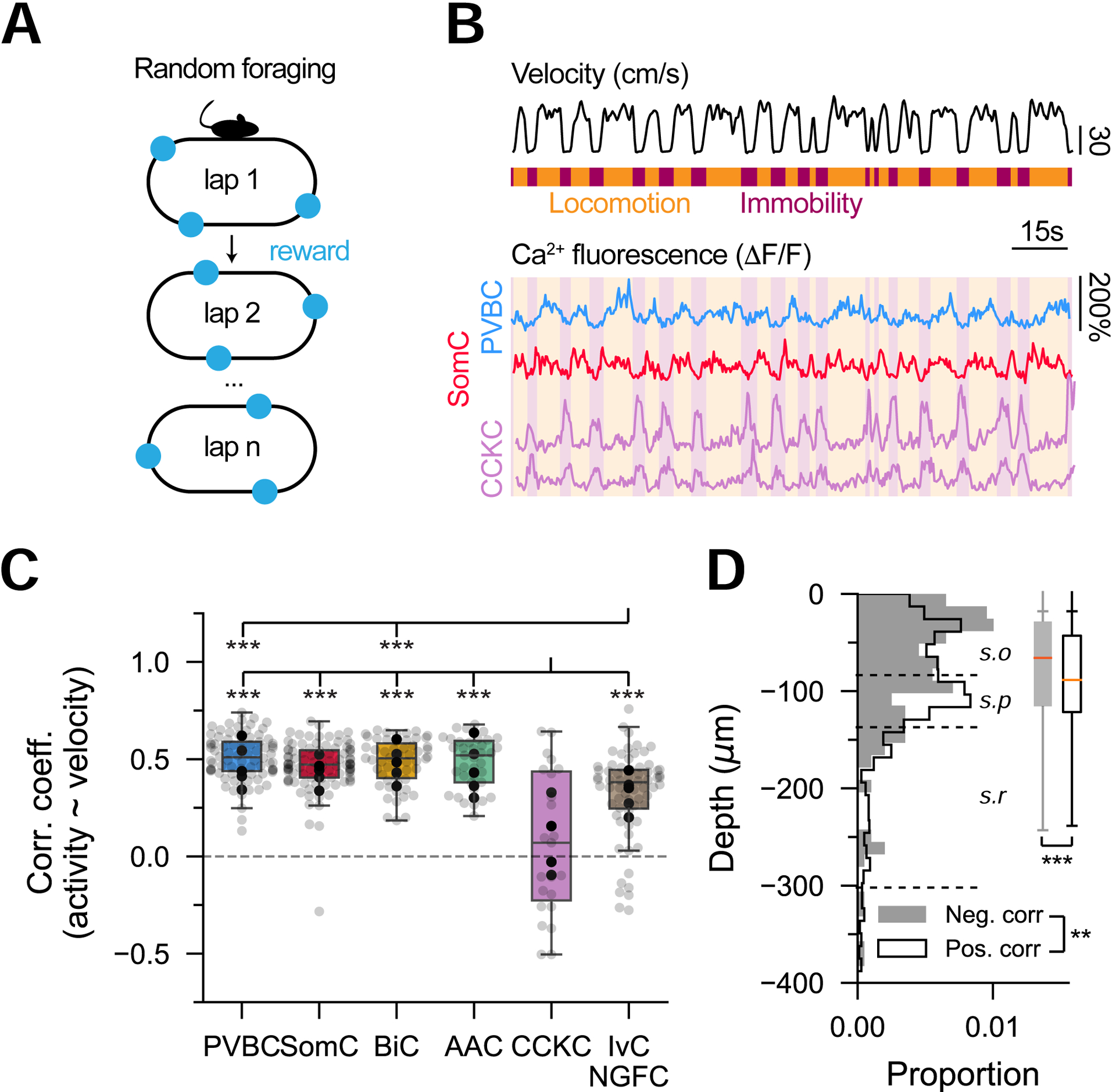 Figure 2 -