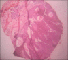 Figure 2a
