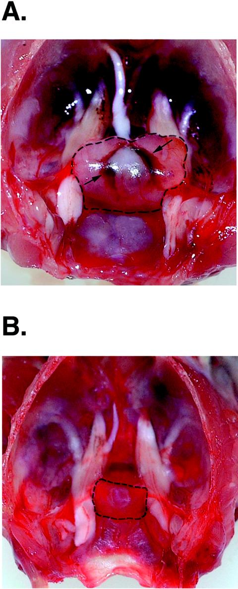 FIG. 3.