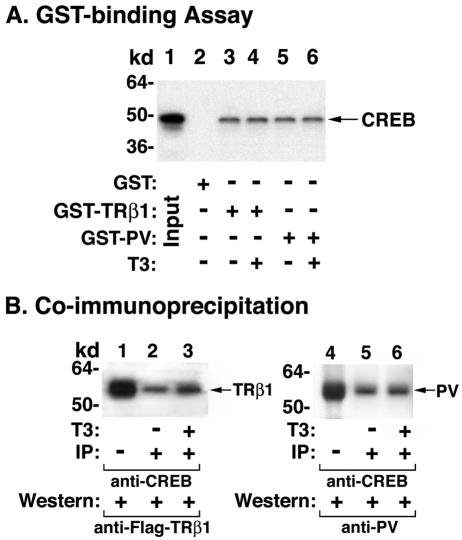 FIG. 9.