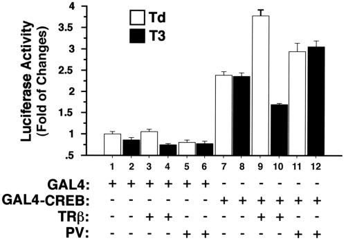 FIG. 10.