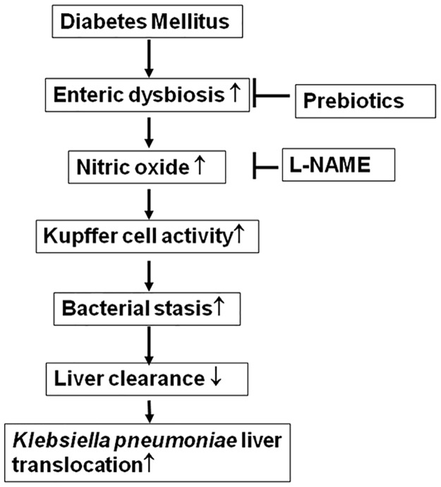 Fig 8