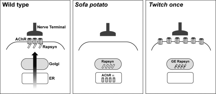 Figure 9.