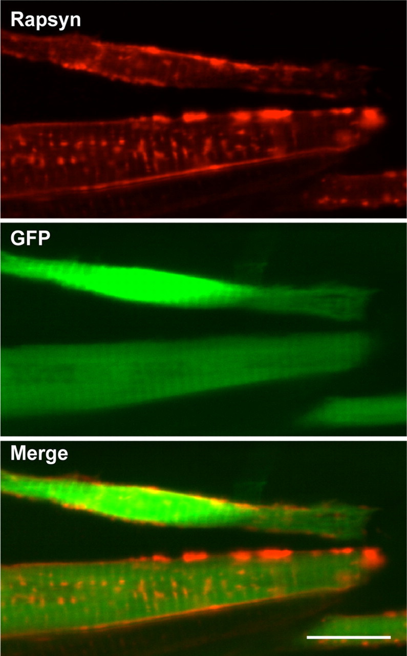 Figure 6.