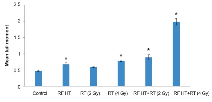 Fig.4