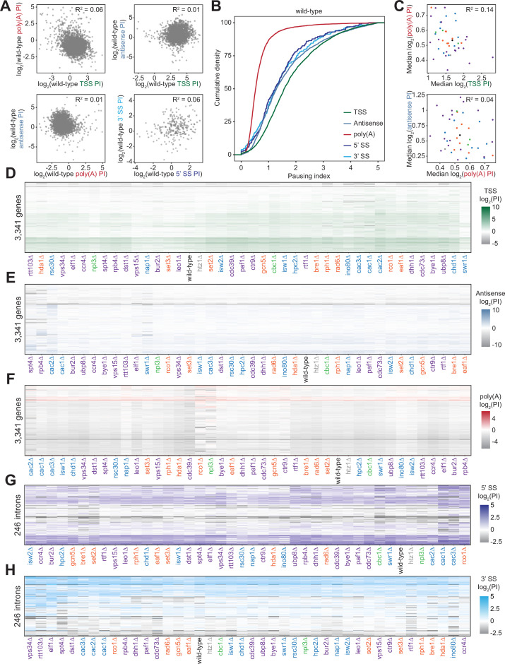 Figure 3—figure supplement 2.