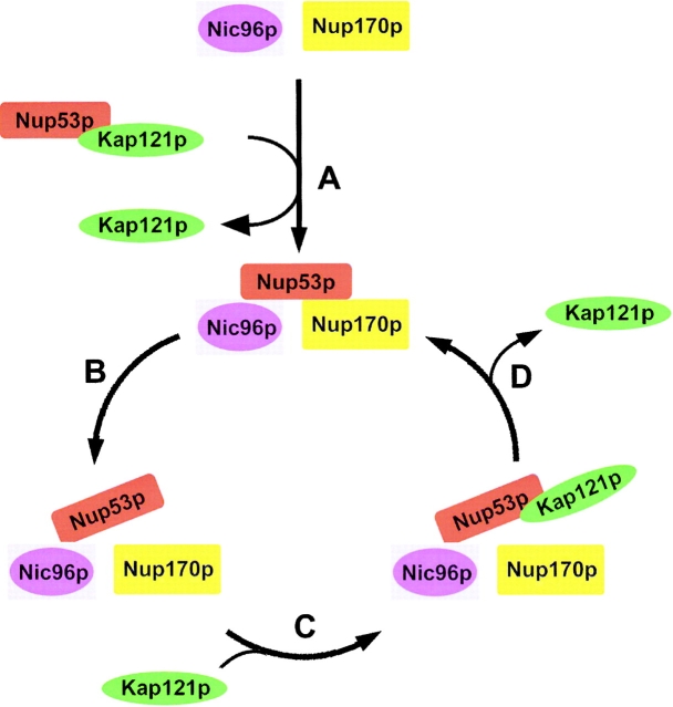 Figure 9.