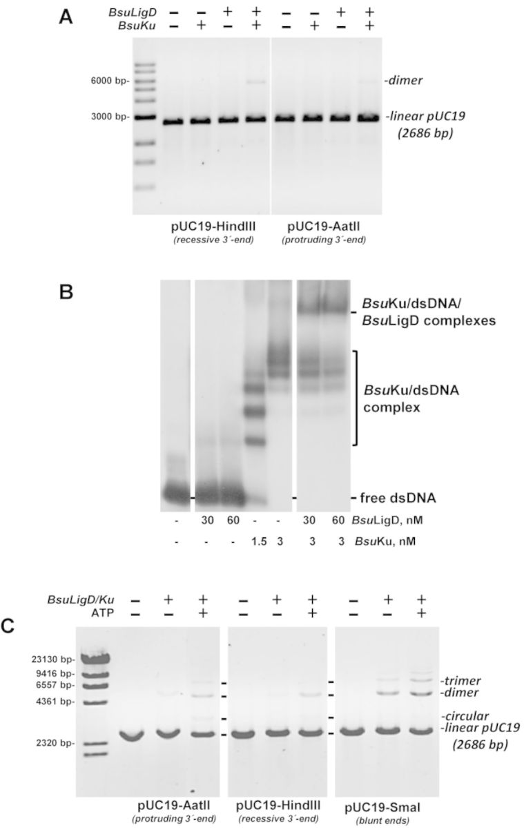 Figure 6.