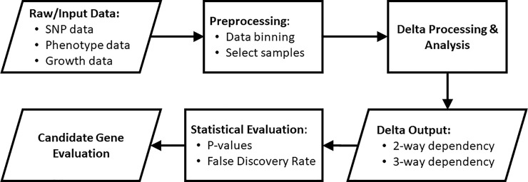 Fig 10