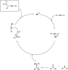 Scheme 1