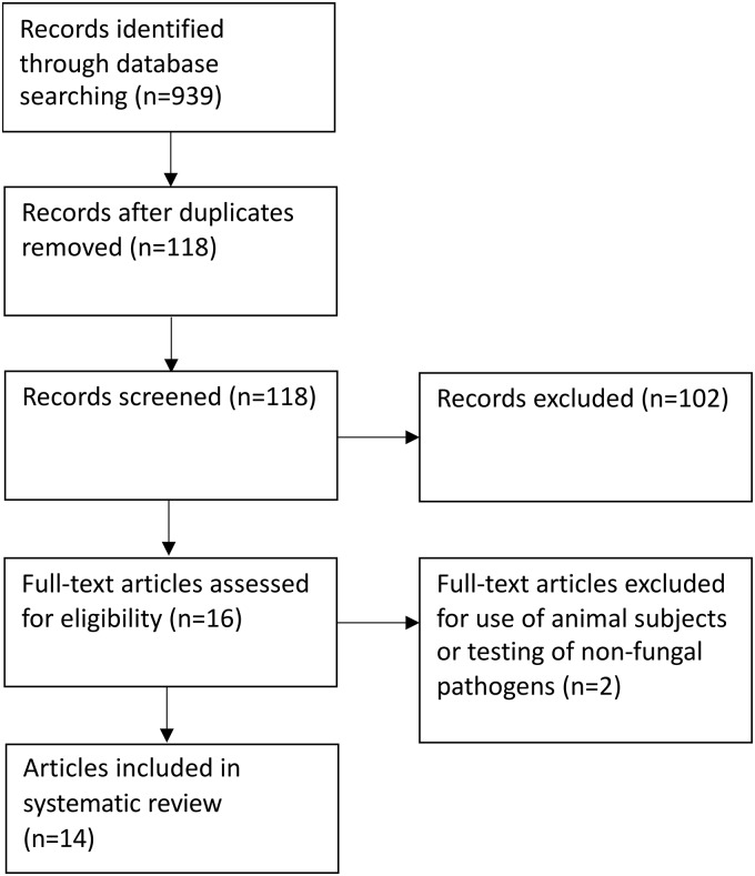 FIG 1