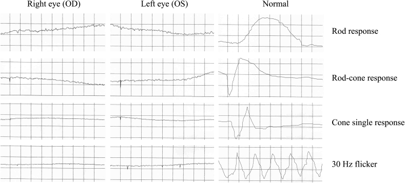 Fig. 4