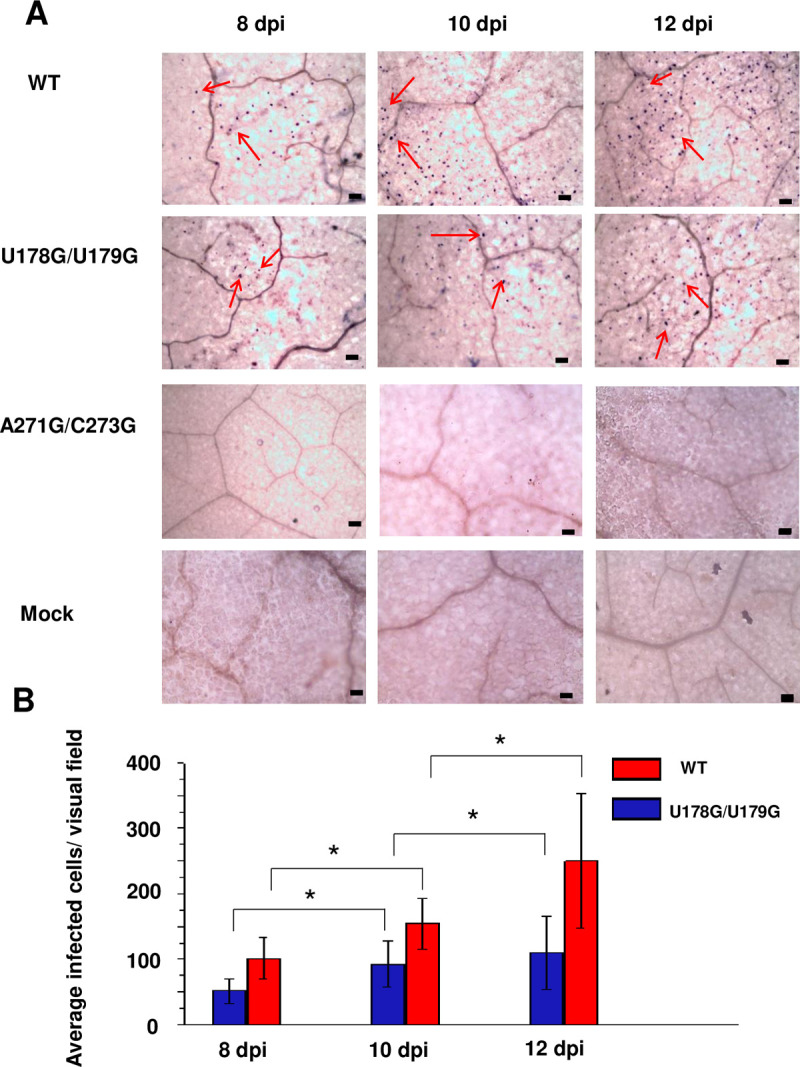 Fig 6