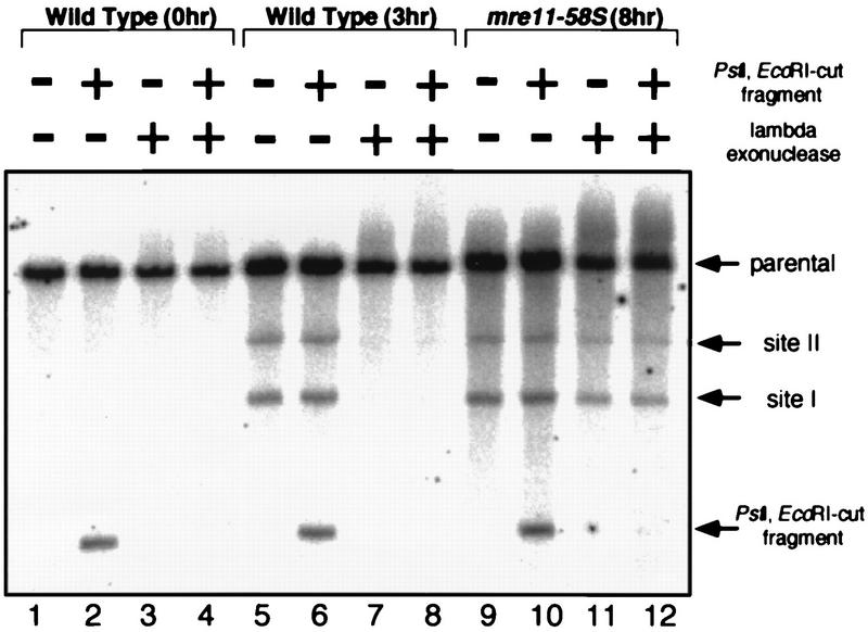 FIG. 9