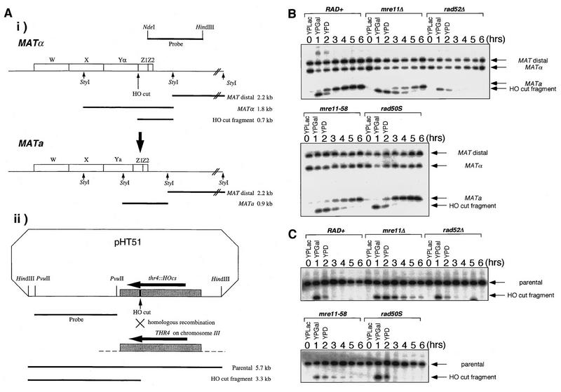 FIG. 6