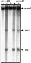 FIG. 8