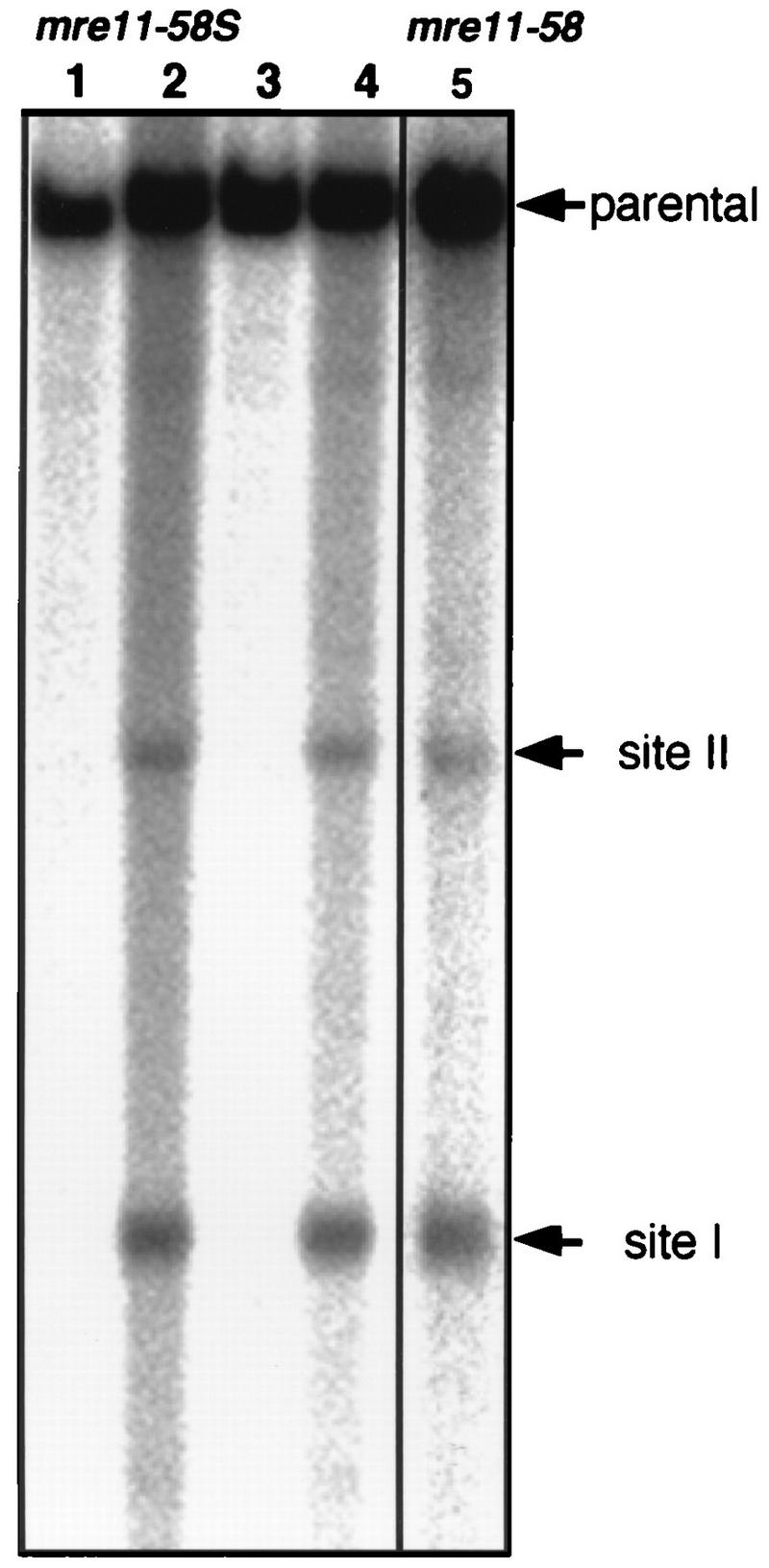 FIG. 8