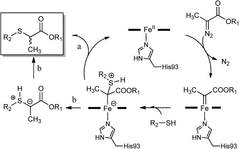 Scheme 3