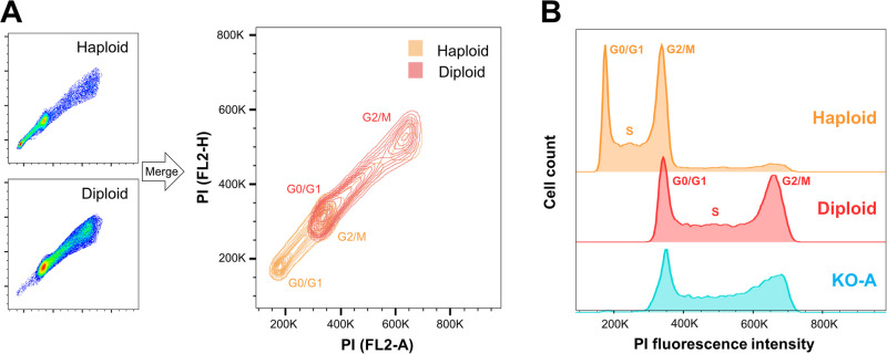 Fig. 1.