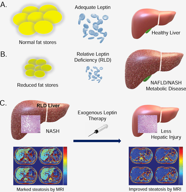 graphic file with name nihms-1694352-f0005.jpg