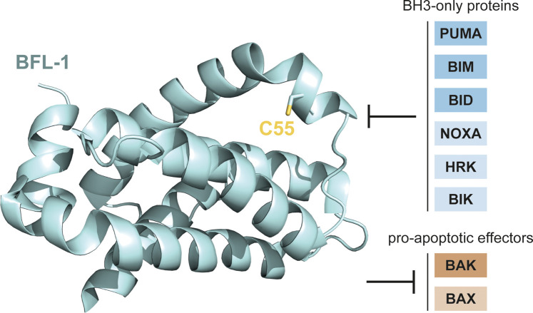 Figure 2.