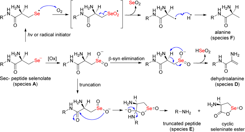 Figure 6: